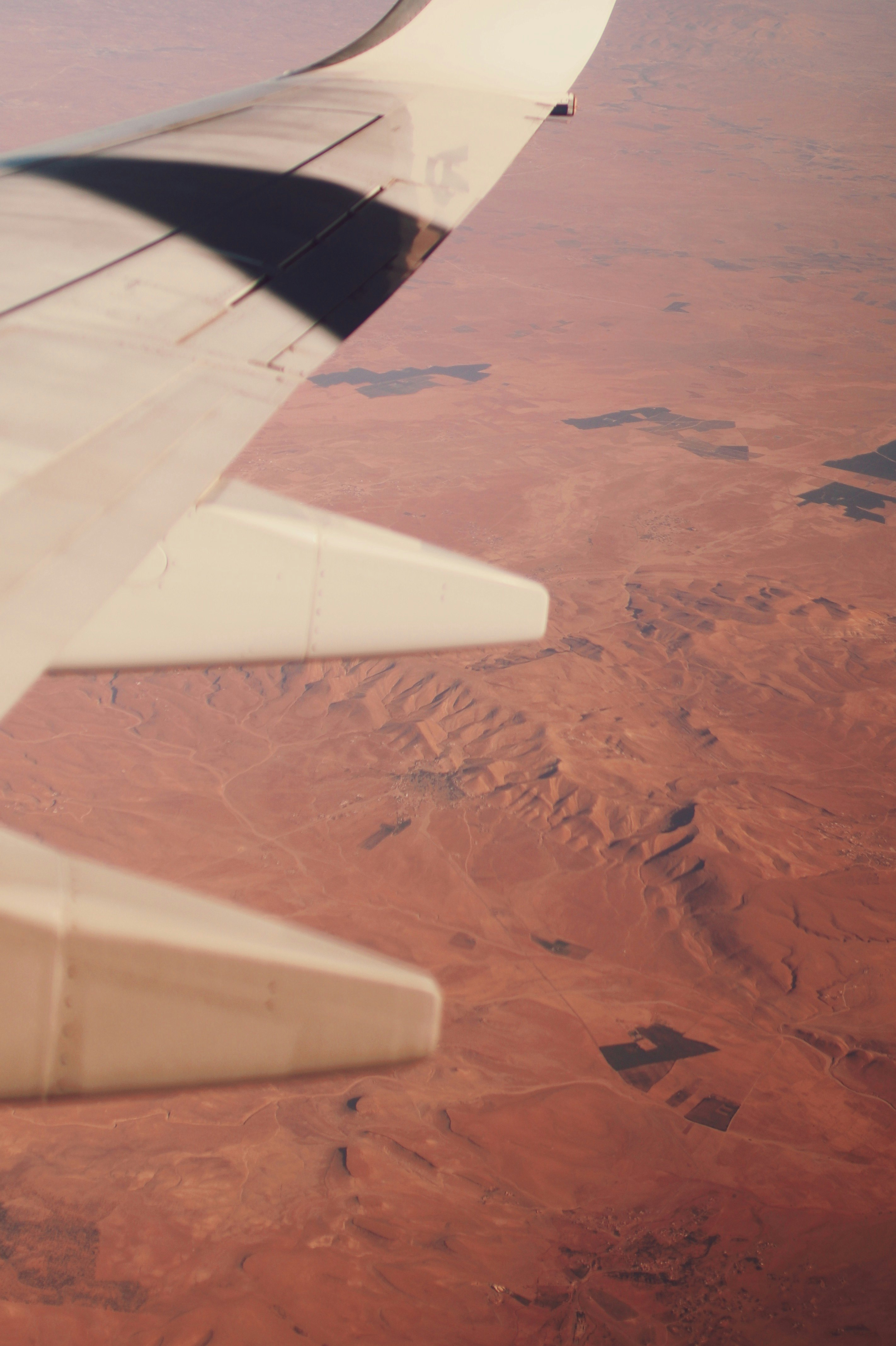 white and blue airplane wing